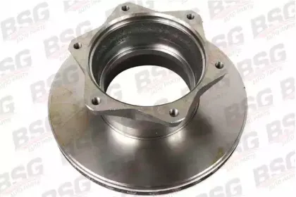 BSG 60-210-001 BSG